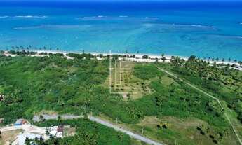 Imagem 2: Área de 30.000m² com 100 metros de frente para o mar em São Miguel dos Milagres-AL