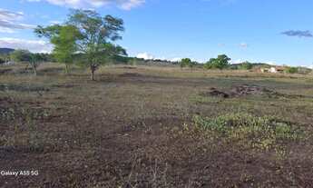 Imagem 4: Excelente área para sitio de 21. 5 t entre Anguera e Bonfim de Feira
