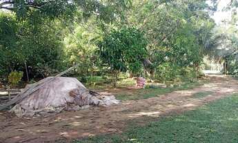 Imagem 6: Sítio na estrada de Manacapuru km62