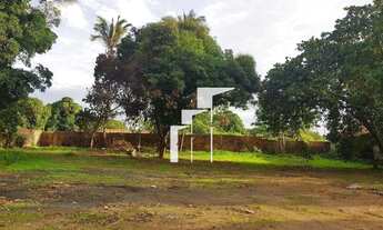 Imagem 2: Erreno na Zona Leste