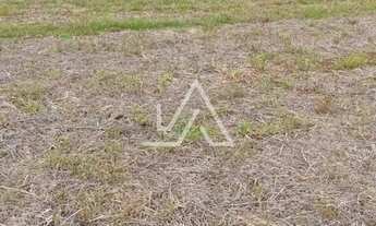 Imagem 2: TERRAS PARA PLANTIO OU SÍTIO EM MATO CASTELHANO