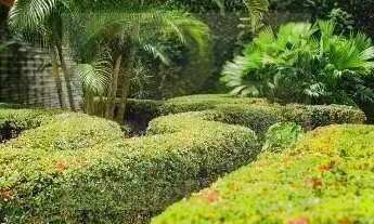 Imagem 6: EDF MARIA ANGELA - RG - A Miranda