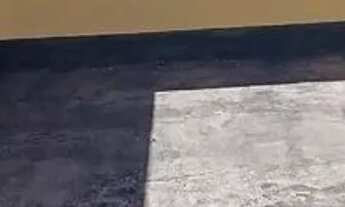 Imagem 4: BOA VISTA - CASA RESIDENCIAL 2 DORMITÓRIOS PROX. ESCOLA, SUPERMERCADO