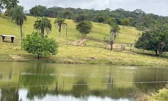 Imagem 6: Fazenda a venda em Trindade - Goiás!!!
