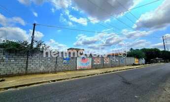 Imagem 4: Venda Lote-Área-Terreno Aviário Feira de Santana