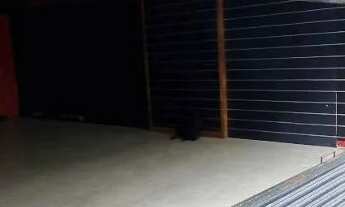 Imagem 7: Meier - Rua Dias da Cruz - Loja Comercial - Antes era a Loja do Flamengo - 120 m2