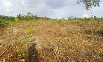 Imagem 6: Vende-se uma chácara na vicinal 5 de Iracema