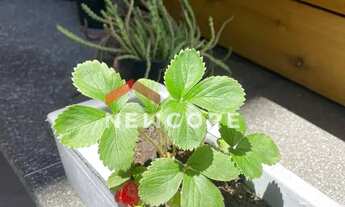 Imagem 5: Apartamento em Rua Sirilo Sartorio - Prainha - Torres/RS