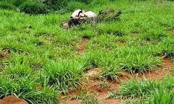 Imagem: Lote 360mt Igarapé