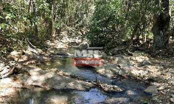 Imagem 5: Fazenda 33 alqueires (159,72 hectares) Edeia - GO