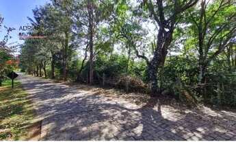 Imagem 3: Chácara Formada à Venda em Condomínio Rural