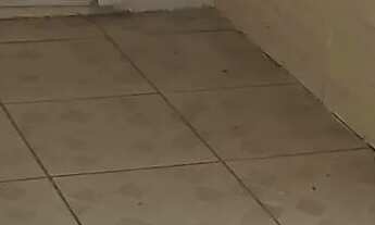 Imagem 7: JK no bairro MENINO DEUS em PORTO ALEGRE