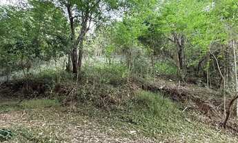 Imagem 3: Terreno com 1790m²,amplo, com vista para as montanhas no Cascatinha