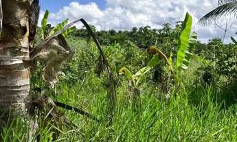Imagem 7: Sítio para Venda em Maceió, Zona Rural, 2 dormitórios, 1 banheiro