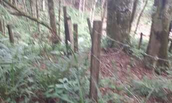 Imagem 6: Vendo Área com 900m , faço 35 mil de entrada, próximo, 11km Curitiba