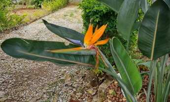 Imagem 5: Alugo Sítio Jaboticatubas a caminho da Serra do Cipó