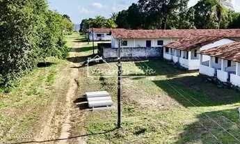 Imagem: Excelente propriedade para fazer um Wine