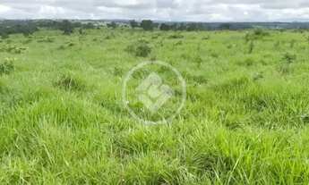 Imagem 7: Fazenda a 5 km de Ivolândia-GO 23 Alqueires prontos para produçã codigo: 133774