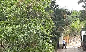 Imagem 7: Descubra o refúgio dos sonhos em uma das áreas mais encantadoras de Itaipava