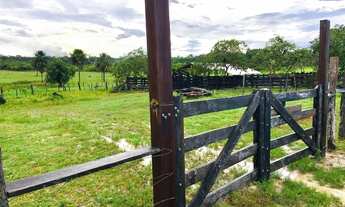 Imagem 4: Vendo Fazenda a 500 metros de Alto Alegre