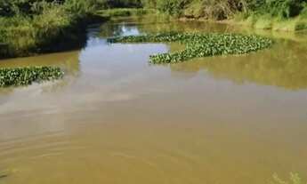 Imagem 4: A&M IMOVEIS VENDE FAZENDA GABRIELA, MELHOR DA REGIÃO DE ARINOS-MG