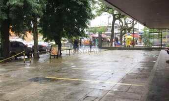 Imagem 3: Jardim Oceânico