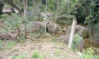 Imagem 6: Venda-se está chácara de 2 hectares no interior do Município de Atílio Vivacqua-ES