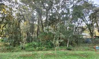 Imagem 3: Pinheiro Grosso Terreno / lote com venda por R$870.000