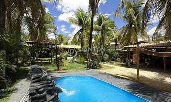 Imagem: Chácara à Venda - BR-251