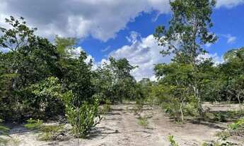 Imagem 3: Fazenda Bnito município de Januária-MG