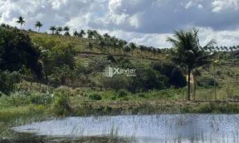 Imagem 5: Terreno com 7 alqueires à venda em Jabaquara, Anchieta/ES - ideal para pecuária, agricultu