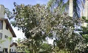 Imagem 2: Terreno à venda, 450 m² por R$ 2.450.000,00 - Jurere Leste - Florianópolis/SC