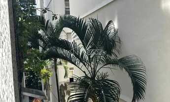 Imagem 2: Apartamento : / Residencial / Catete