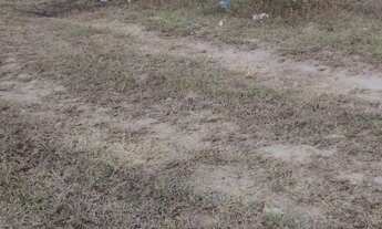 Imagem 4: Vende-se terreno em Simão Dias, próx da Rodovia, rua pavimentada. O terreno mede 07x25