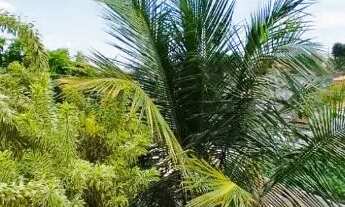 Imagem 4: Casa a 600 metros da praia em Guarapari Es