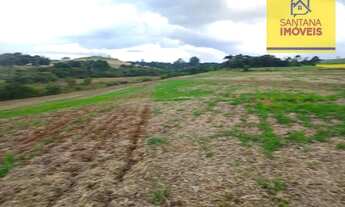 Imagem 6: Terreno à venda, 36905 m² por R$ 1.150.000,00 - São Caetano - Balsa Nova/PR