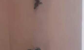 Imagem 3: Casa na Cidade de Areia Branca -Se