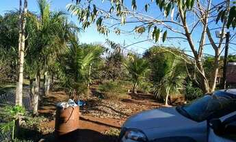 Imagem 3: Chácara as margens do rio Paranapanema