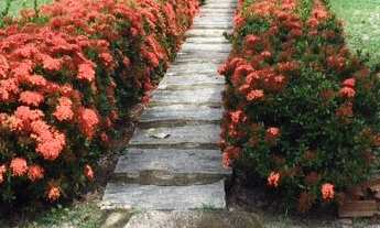 Imagem 5: Sitio a venda no Rio do Catu, Frente parao Rio, 3 Suítes, Aquiraz - Ceará