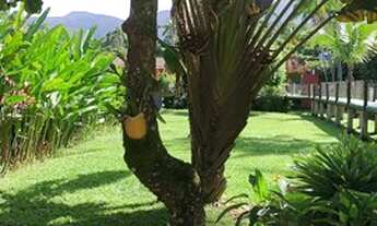 Imagem 6: Apartamento para venda tem 450 metros quadrados com 16 quartos