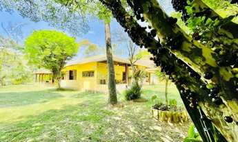 Imagem 5: Sítio com 88.000 m² de terreno com casa cede com 300m² 4 quartos 3 banheiros 5 vagas Grama