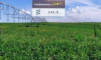 Imagem 6: Área Rural Premium - Em Catalão-GO ! 894 HECTARES