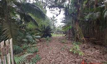 Imagem 4: TERRENO RURAL em JOINVILLE - SC, PIRABEIRABA (PIRABEIRABA