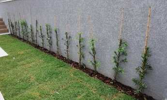 Imagem 5: Casa pronta para morar com preço imperdível