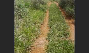 Imagem 3: Chacara São Gabriel go