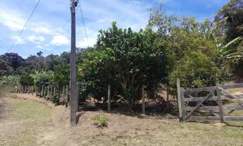Imagem 6: Vendo sítio em santa Maria de Jetibá