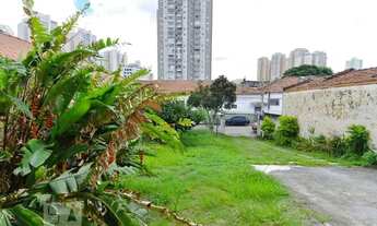 Imagem 6: Casa para Aluguel - Vila Augusta, 4 Quartos, 284 m2