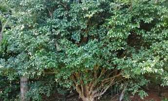 Imagem 5: Vendo ou Alugo: Condomínio Fechado. Leia a Descrição!