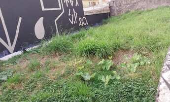 Imagem 3: TERRENO COMERCIAL em SÃO PAULO - SP, VILA PROGREDIOR