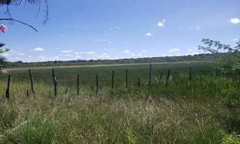 Imagem 7: Fazenda 171ha a venda